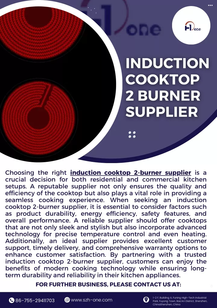 choosing the right induction cooktop 2 burner