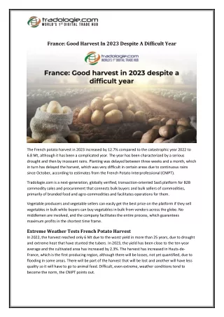 France Good Harvest In 2023 Despite A Difficult Year