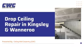 Drop Ceiling Repair in Kingsley & Wanneroo