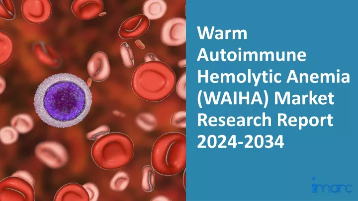 warm autoimmune hemolytic anemia waiha market research report 2024 2034