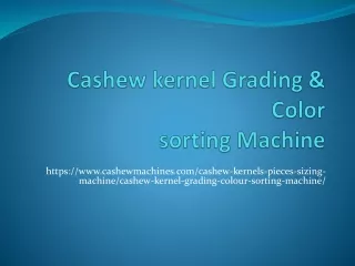 Cashew Kernel Grading & Colour Sorting Machine - Cashew Machines