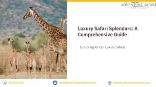 Luxury Safari Splendors_ A Comprehensive Guide