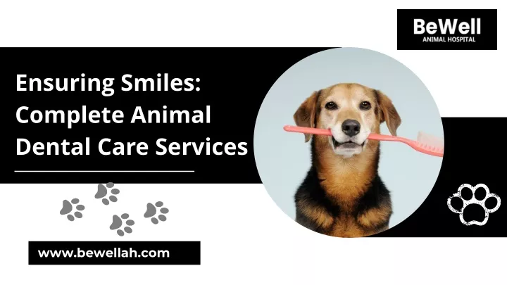ensuring smiles complete animal dental care