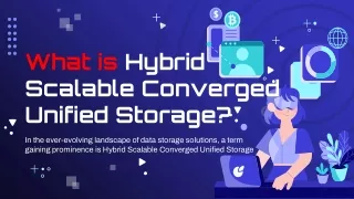 What is Hybrid Scalable Converged Unified Storage?