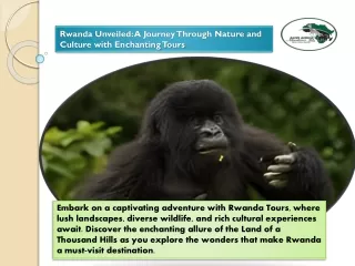 A Journey Through Nature and Culture with Enchanting Tours