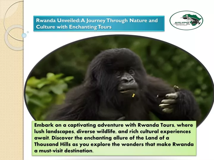 rwanda unveiled a journey through nature
