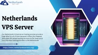 Netherlands VPS Hosting: Unleash the Power of European Data Centers