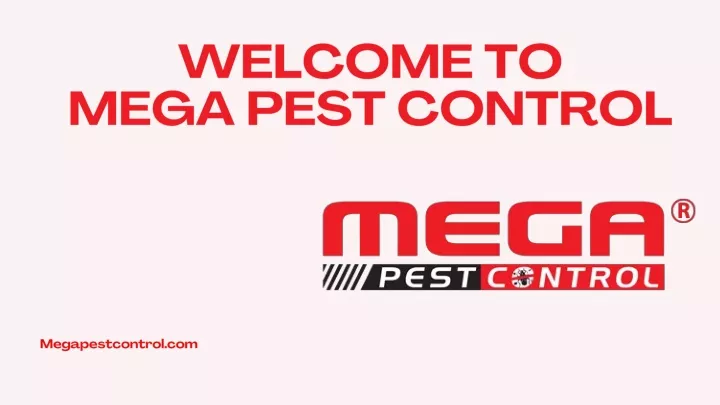 welcome to mega pest control