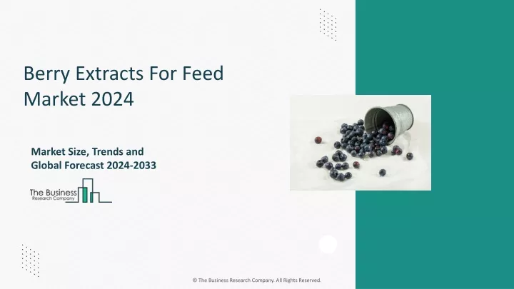 berry extracts for feed market 2024