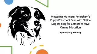 Puppy Preschool In Petersham