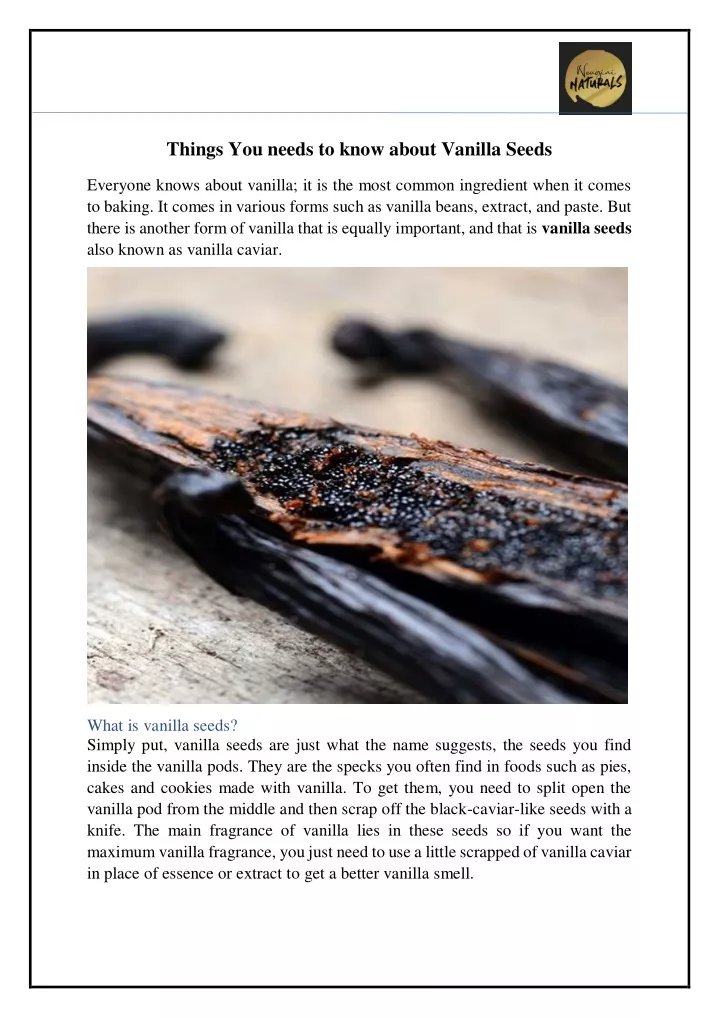 things you needs to know about vanilla seeds