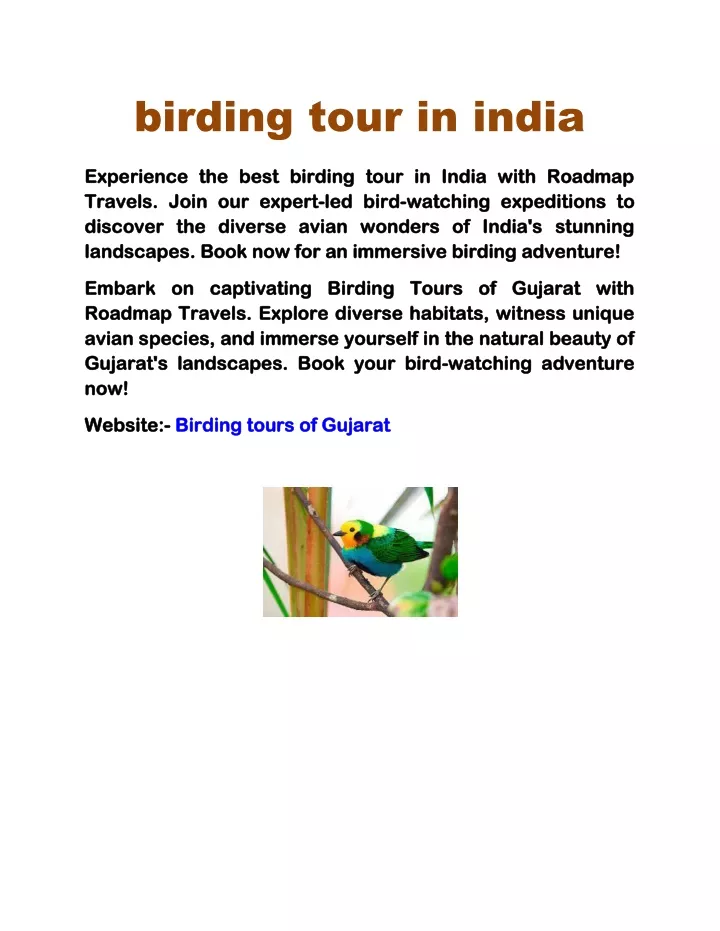 birding tour in india