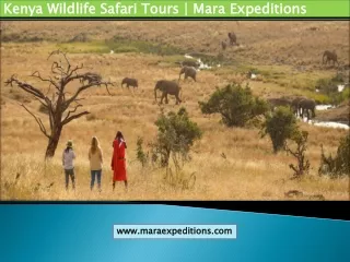 Kenya Wildlife Safari Tours|  Mara Expeditions