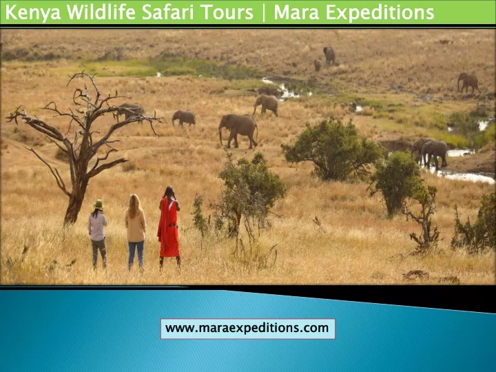 kenya wildlife safari tours mara expeditions