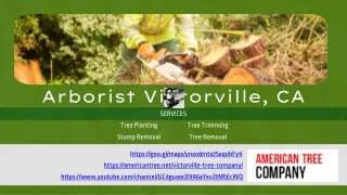 Arborist Services Victorville, CA