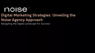 Digital Marketing Strategies: Unveiling the Noise Agency Approach!