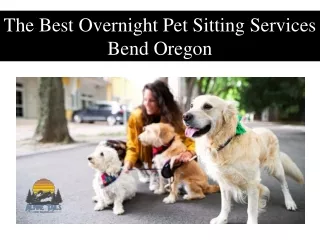 The Best Overnight Pet Sitting Services Bend Oregon