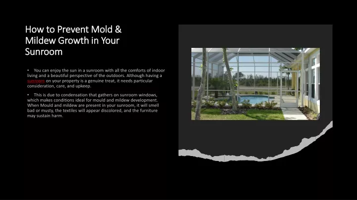 how to prevent mold mildew growth in your sunroom