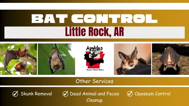 bat control