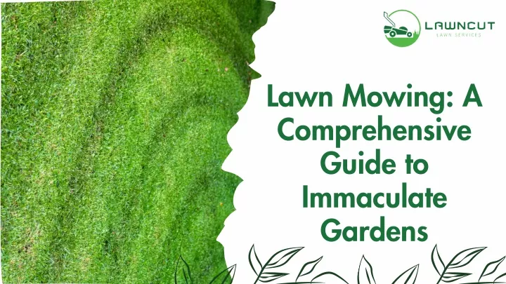 lawn mowing a comprehensive guide to immaculate