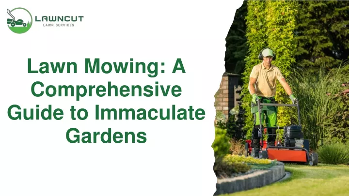 lawn mowing a comprehensive guide to immaculate