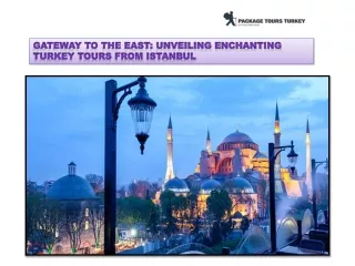 Unveiling Enchanting Turkey Tours from Istanbul