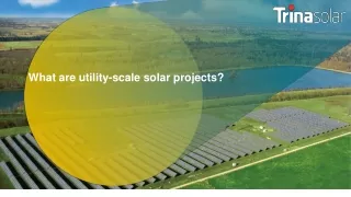 What are utility-scale solar projects