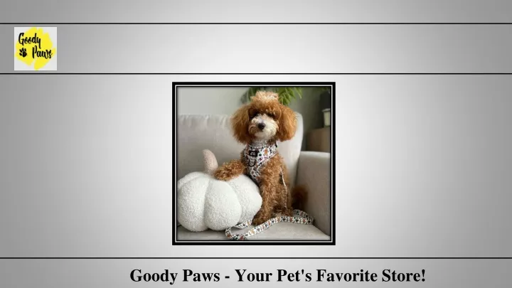 goody paws your pet s favorite store
