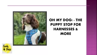 Oh My Dog! - The Puppy Stop for Harnesses & More
