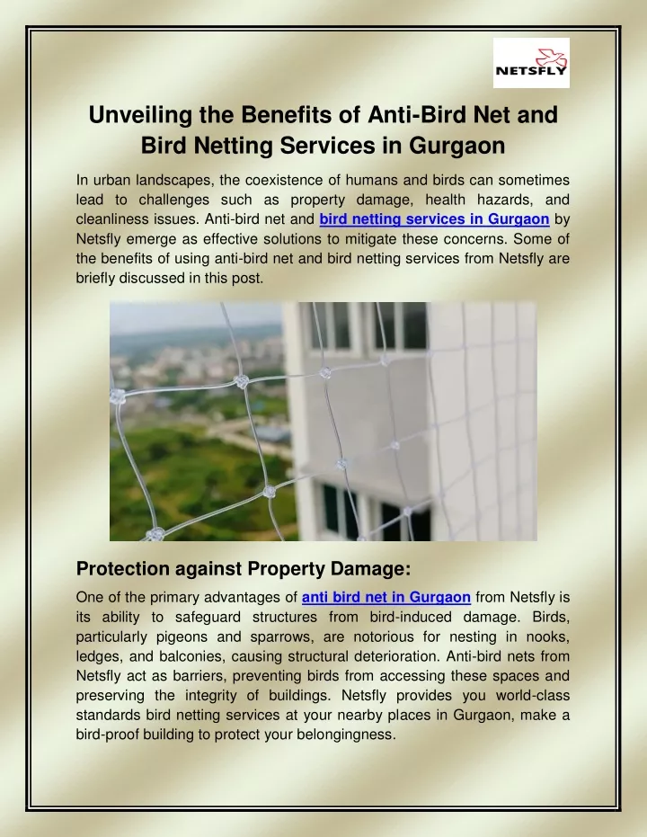 unveiling the benefits of anti bird net and bird