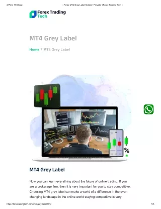 Forex Mt4 Grey Label Provider