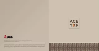 Ace YXP, Ace Commercial Projects YXP,