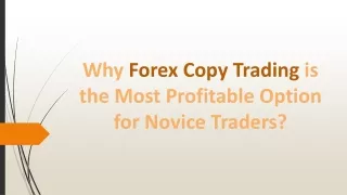 Why Forex Copy Trading is the Most Profitable Option for Novice Traders