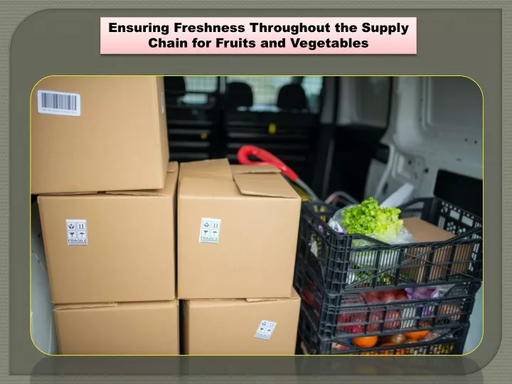 ensuring freshness throughout the supply chain