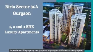 Birla Sector 36A Gurgaon | Premium Residential Apartments