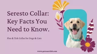 Key Facts to know about Seresto Collar for Dogs & Cats!