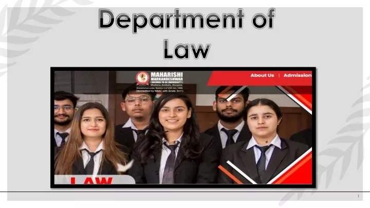 department of law