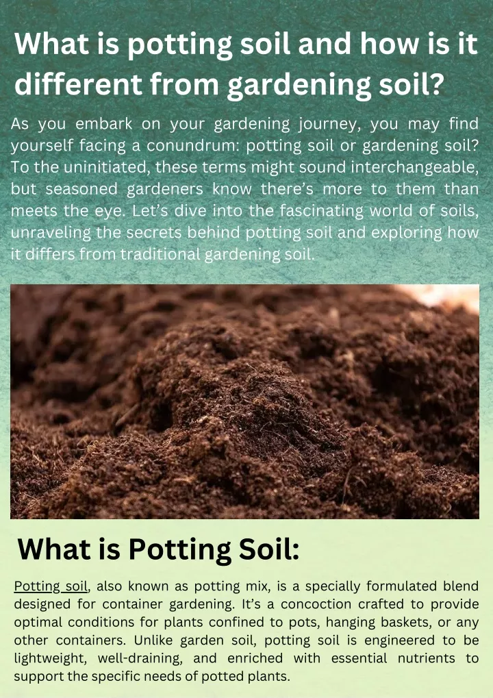 what is potting soil and how is it different from