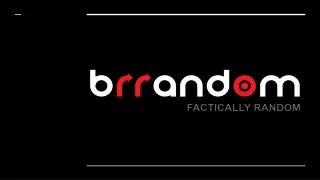 Company Overview Brrandom