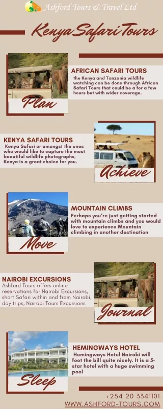 The ultimate guide Line for Kenya Safari Tours