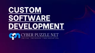 Custom Software Development - Cyber Puzzle Net