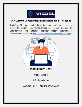 SAP Custom Development Dienstleistungen | visdel.de