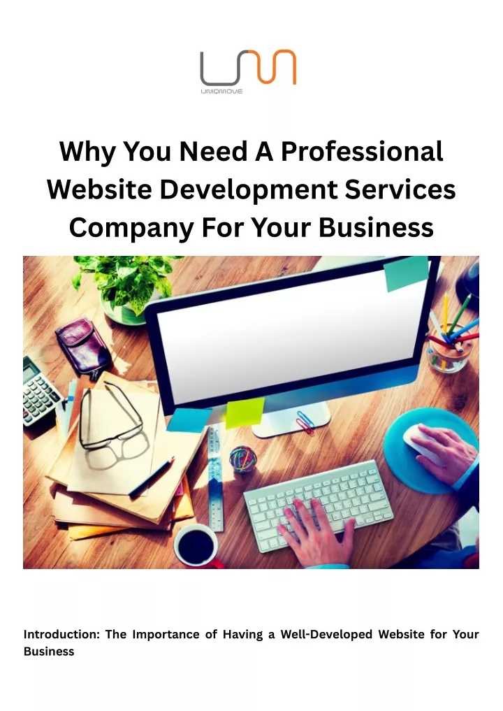 why you need a professional website development