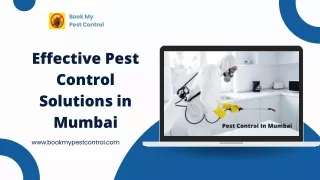 Effective Pest Control Solutions in Mumbai