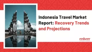 Redseer travel report of Indonesia