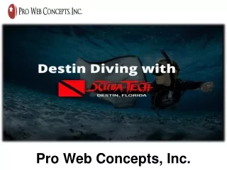 Pro Web Concepts Inc