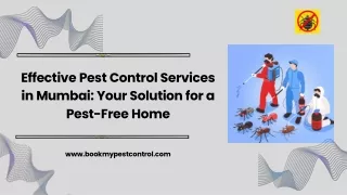 Effective Pest Control Services in Mumbai Your Solution for a Pest-Free Home