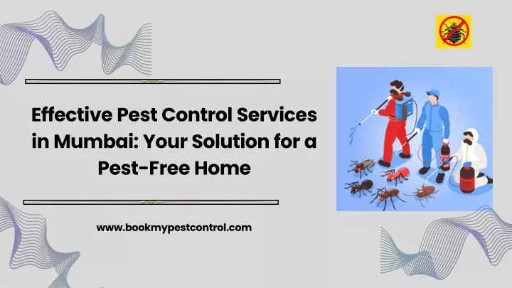 effective pest control services in mumbai your