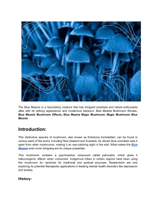 Uses Of  Mushroom Blue Meanie
