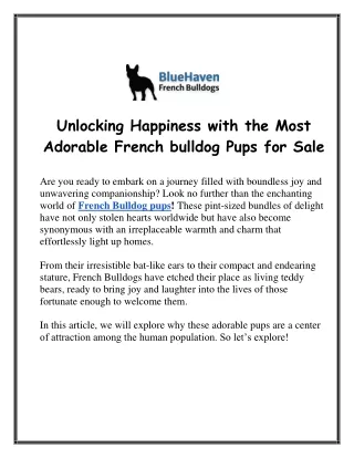 Unlocking Happiness With The Most Adorable French Bulldog Pups for Sale